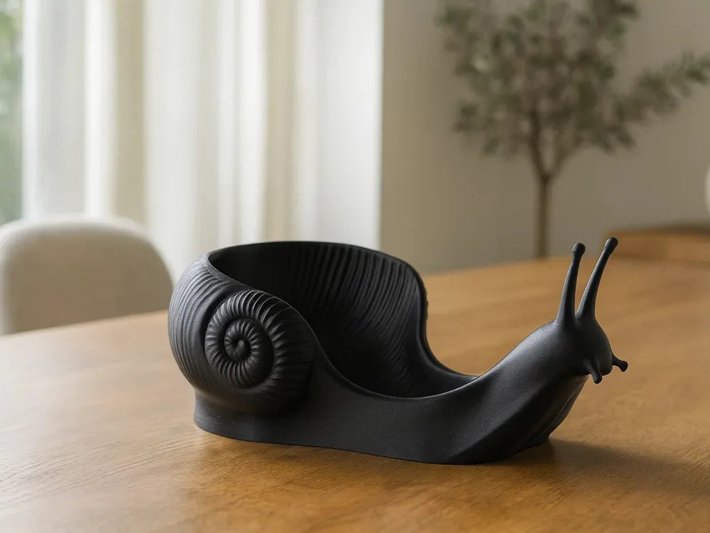 Mystic Snail Organizer