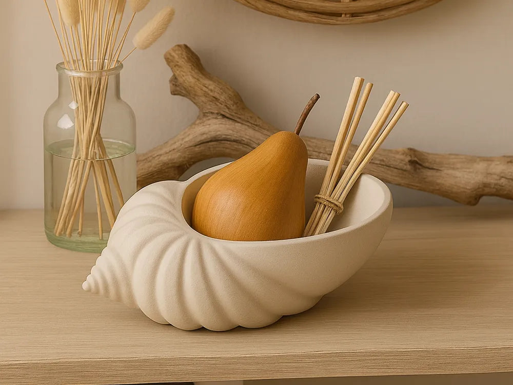 Coastal Seashell Organizer 🐚🤍